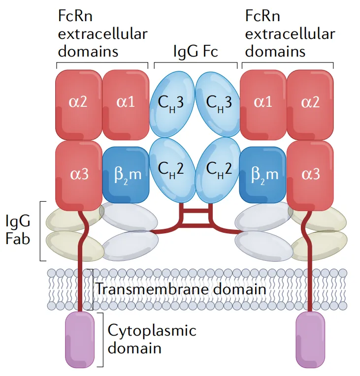 New_Product_Launch_01.png New_Product_Launch_01.png