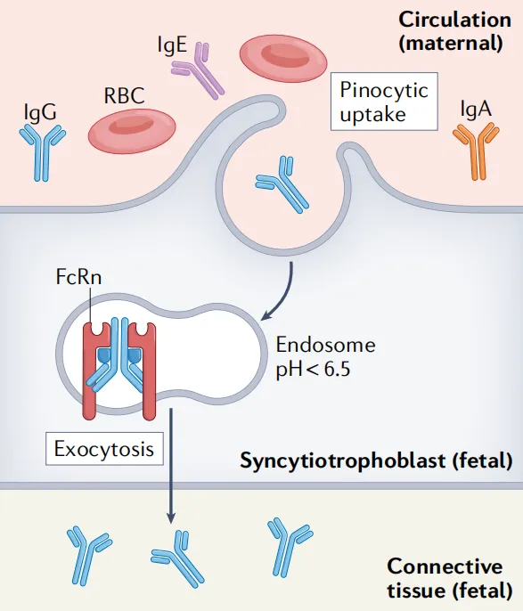 New_Product_Launch_03.png New_Product_Launch_03.png