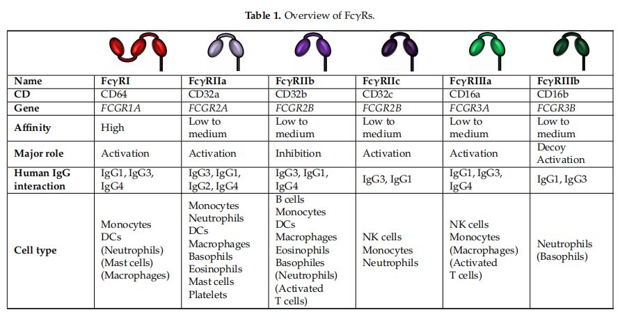 new-product-launch-vkey-bio-tr-fret-effector-function-analysis-kits-for-precise-evaluation-of-antibody-adcc-adcp-activity_02.png new-product-launch-vkey-bio-tr-fret-effector-function-analysis-kits-for-precise-evaluation-of-antibody-adcc-adcp-activity_02.png